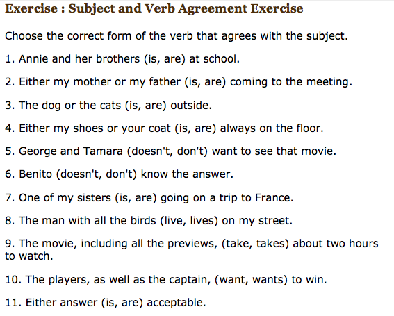 3 Exercise Subject Verb Agreement Knittel S English 11 Homework Site